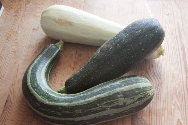 Как сделать горькие кабачки сладкими и вкусными: лайфхак