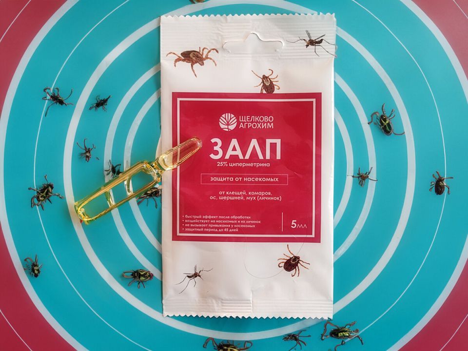 Как инсектицид «Залп» борется с клещами: тестирование на практике
