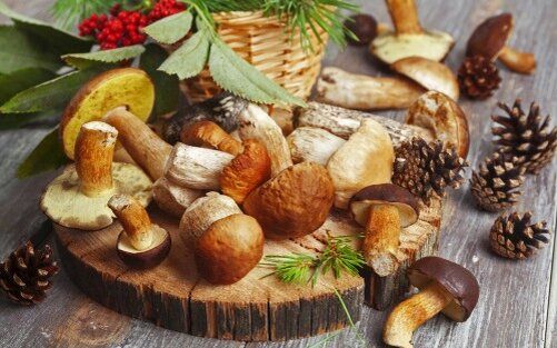 Грибы: как правильно готовить и хранить, чтобы наслаждаться их вкусом круглый год