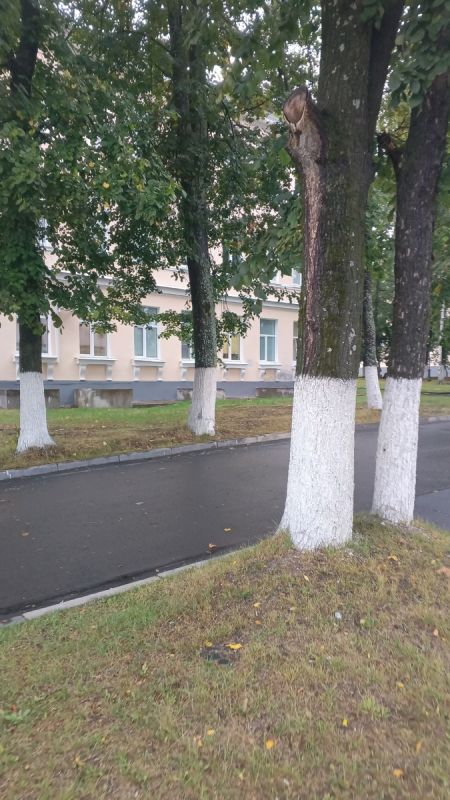 Как победить страх и сделать укол при пяточной шпоре: история выздоровления