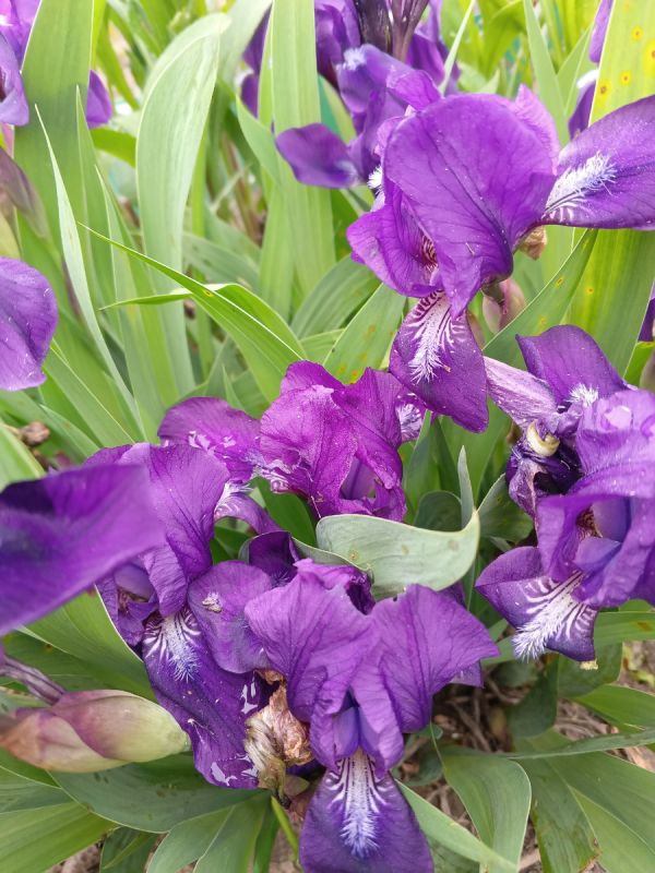 Сильные слова для взрослых детей: как поддерживать связь с сыном