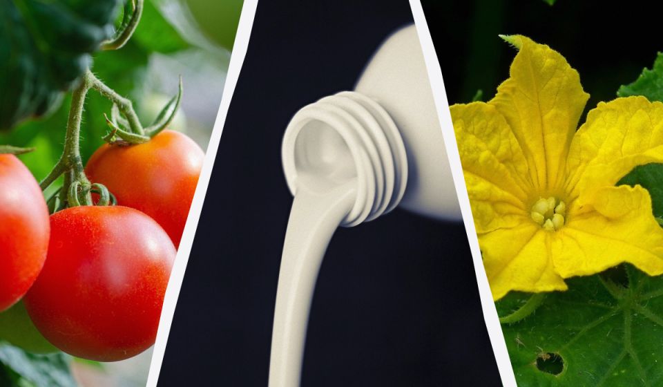 Как кефир может стать секретом успешного урожая