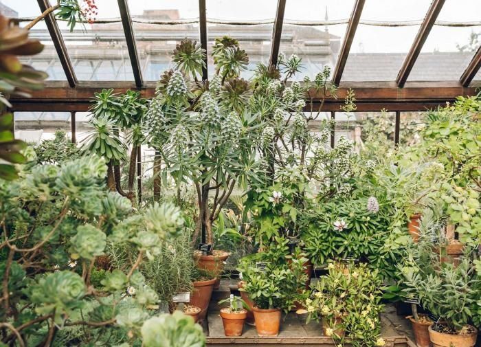 Исследуем микроклимат вашего сада