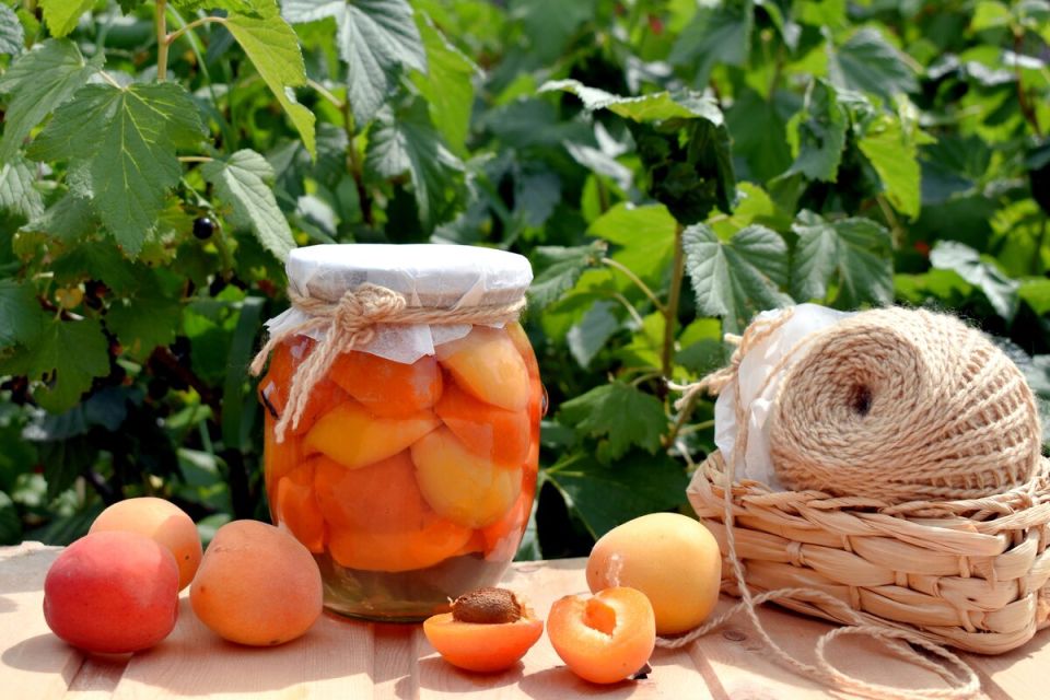 Абрикосы в сиропе: простое зимнее лакомство для всей семьи