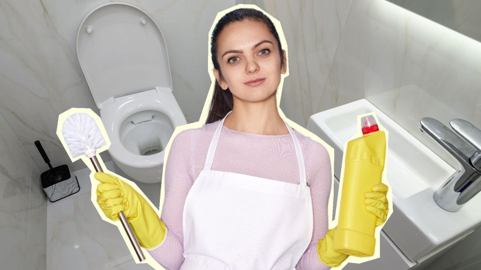 Умные хозяйки давно чистят ершик этим средством: больше никакой вони и грязи