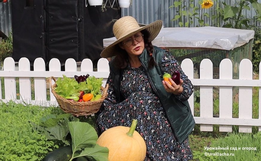 Как сохранить болгарский перец свежим до самой зимы: советы и хитрости