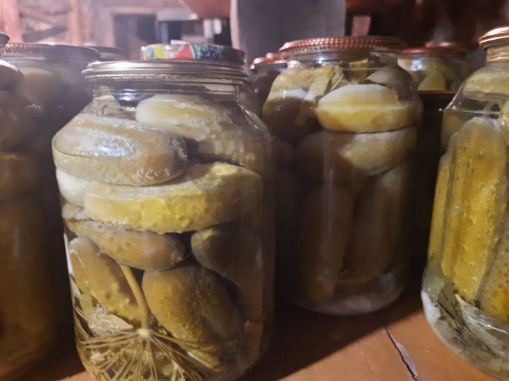 Как приготовить горчицу на рассоле: секрет вкусного соуса знает не каждая хозяйка