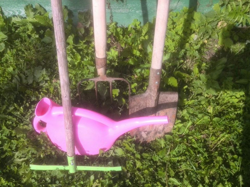 Ошибки садоводов осенью: как избежать потери урожая