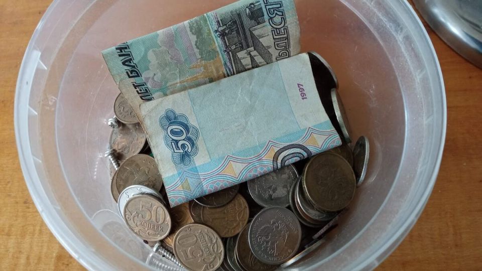 Может ли одна зарплата обеспечить семью? Опыт, который вдохновляет