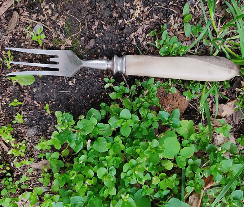 Дни прополки: как справиться с ненужными сорняками на вашем участке