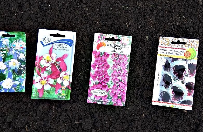 Секреты успешного зимнего посева: как избежать ошибок и добиться результативности