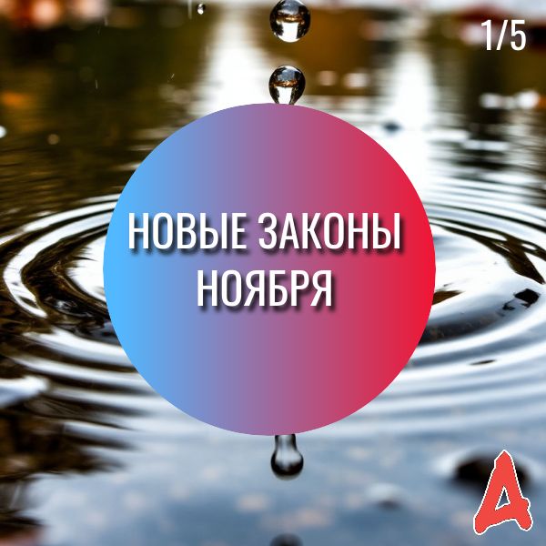 Новые законы ноября: что ожидает граждан в конце осени?