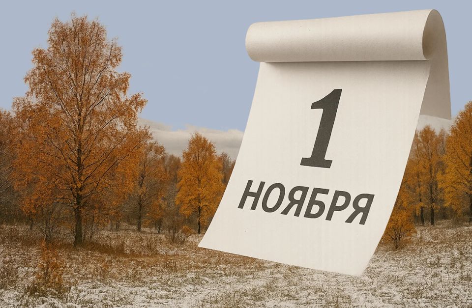 Новые правила жизни россиян с ноября 2025 года: важные изменения в налогах, ОСАГО и наследственных делах