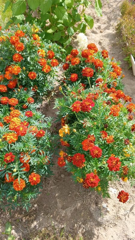 Как расстаться с грузом вчерашнего дня и встретить утро с легким сердцем