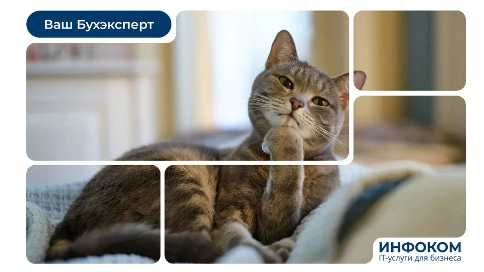 Внимание, упрощенцы: Changes in VAT rules могут повлиять на ваши финансы в 2026 году