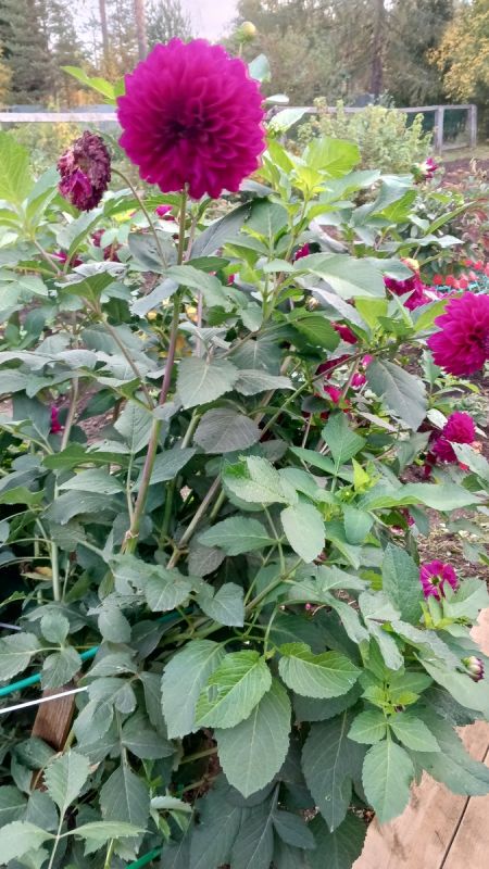 Как жить, когда здоровье под угрозой: важные уроки и ненужные советы