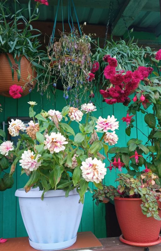 Как освободиться от повседневной рутины и начать жить для себя