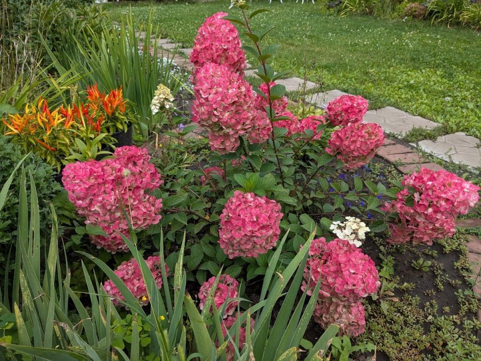 Закрытие дачного сезона: как подготовиться к зиме без лишних хлопот