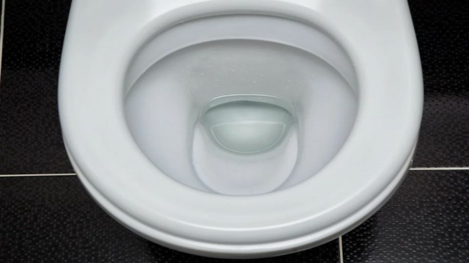 Очищение унитаза от налёта: секреты и советы для занятого хозяина