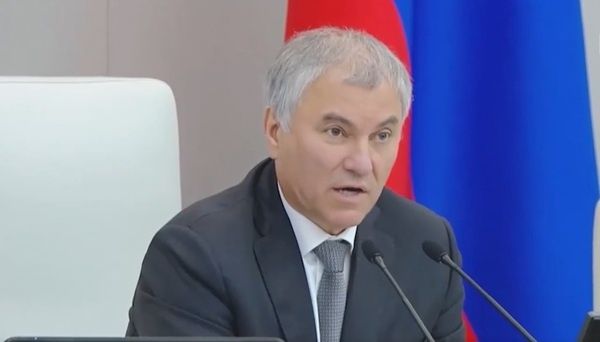 Володин призывает принять меры из-за угрозы изъятия российских активов в Европе