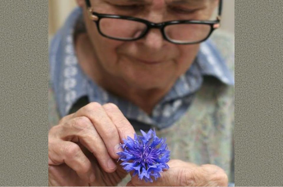 Декоративные травы: секреты ухода от опытного садовода