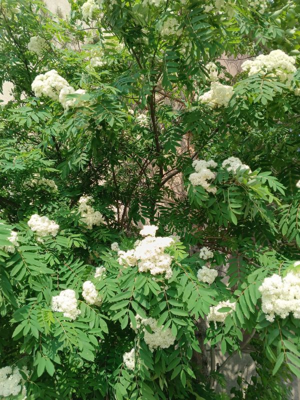 После 35 лет разлуки: как дружба преодолевает границы