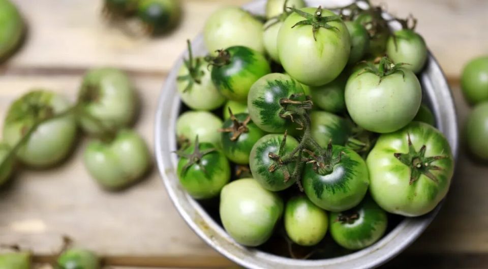 Осторожно с помидорами: два вида, которые могут навредить вашему здоровью