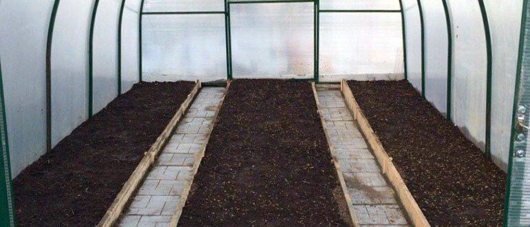 Эффективная дезинфекция почвы: простой рецепт для садоводов