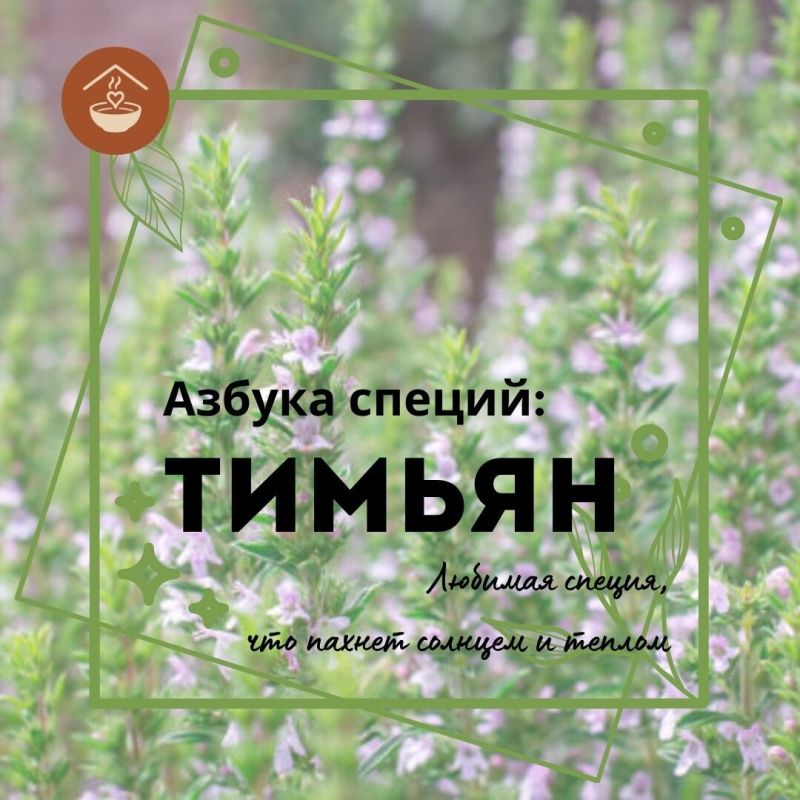Секреты популярности тимьяна