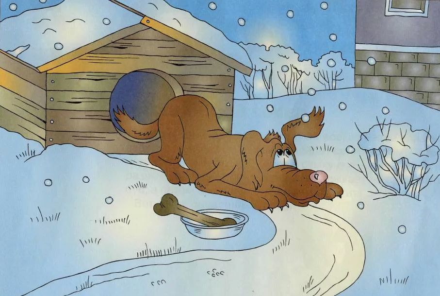 Как правильно кормить собак зимой: советы ветеринаров