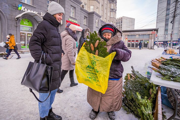 Когда ждать новогодние выплаты: пенсии и пособия в декабре 2025 года