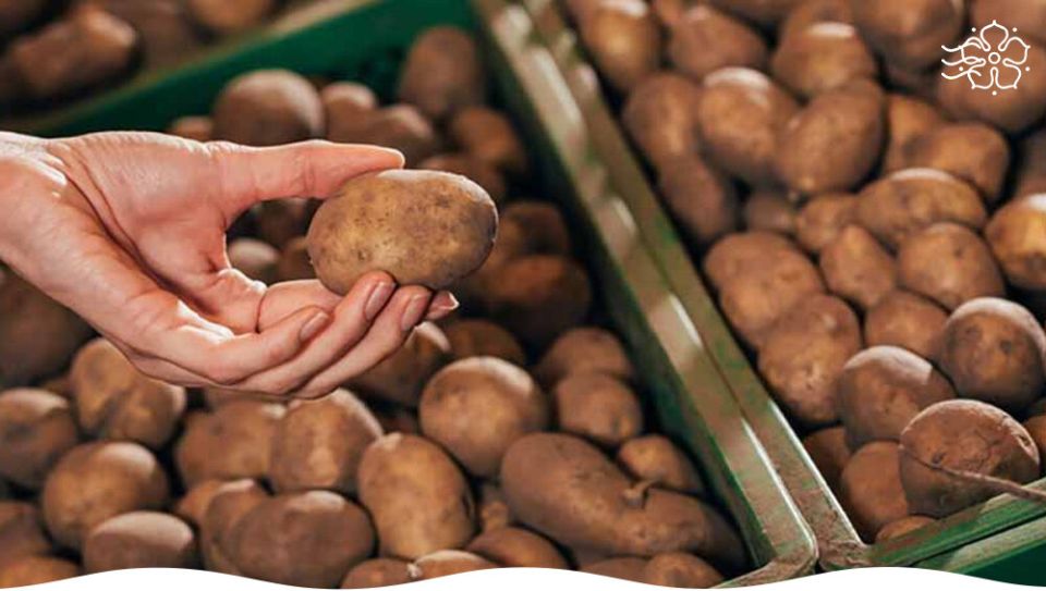 Секреты долгого хранения картофеля: как сохранить корнеплоды до весны