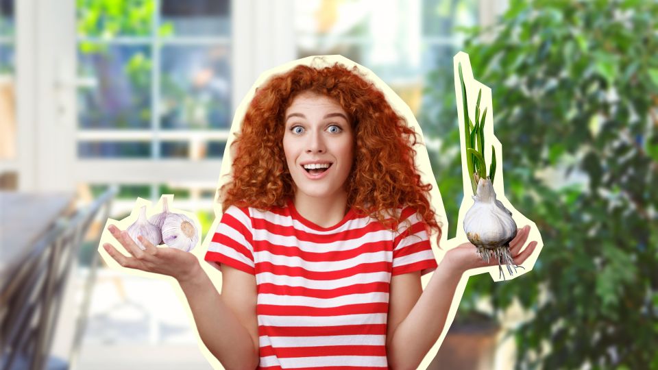 Посадите чеснок прямо сейчас, и соседи вам обзавидуются: вот в чем подвох с озимым