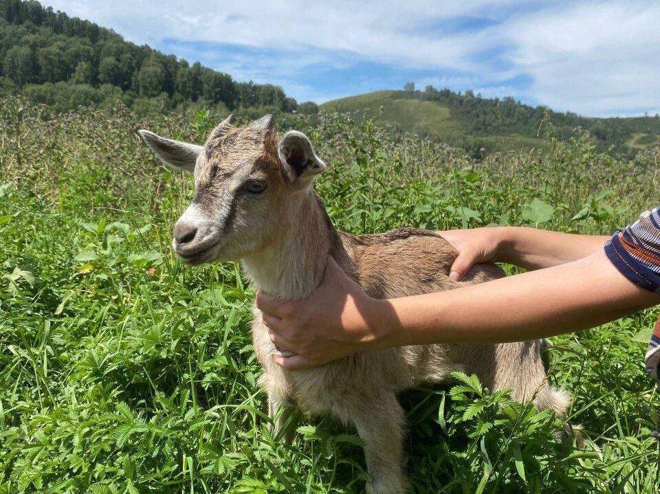 ���� � ����: ������ ����������� �������� � ������������ ������