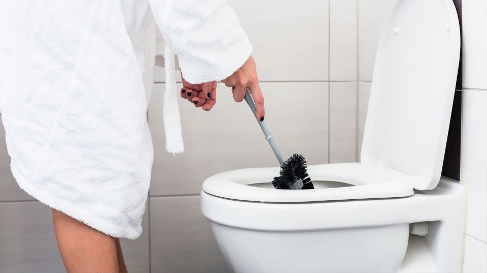 � ���� �������� ��������� ��� ����������: ���������� ���������� ������ ��������� ������ � �������