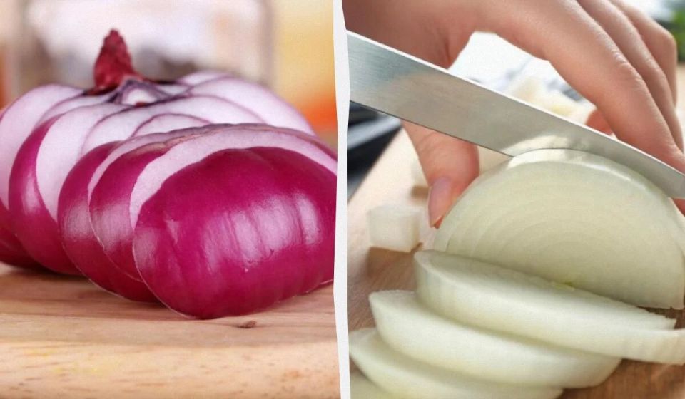 8 ������ �������� ��� � ������ � �������� ��������