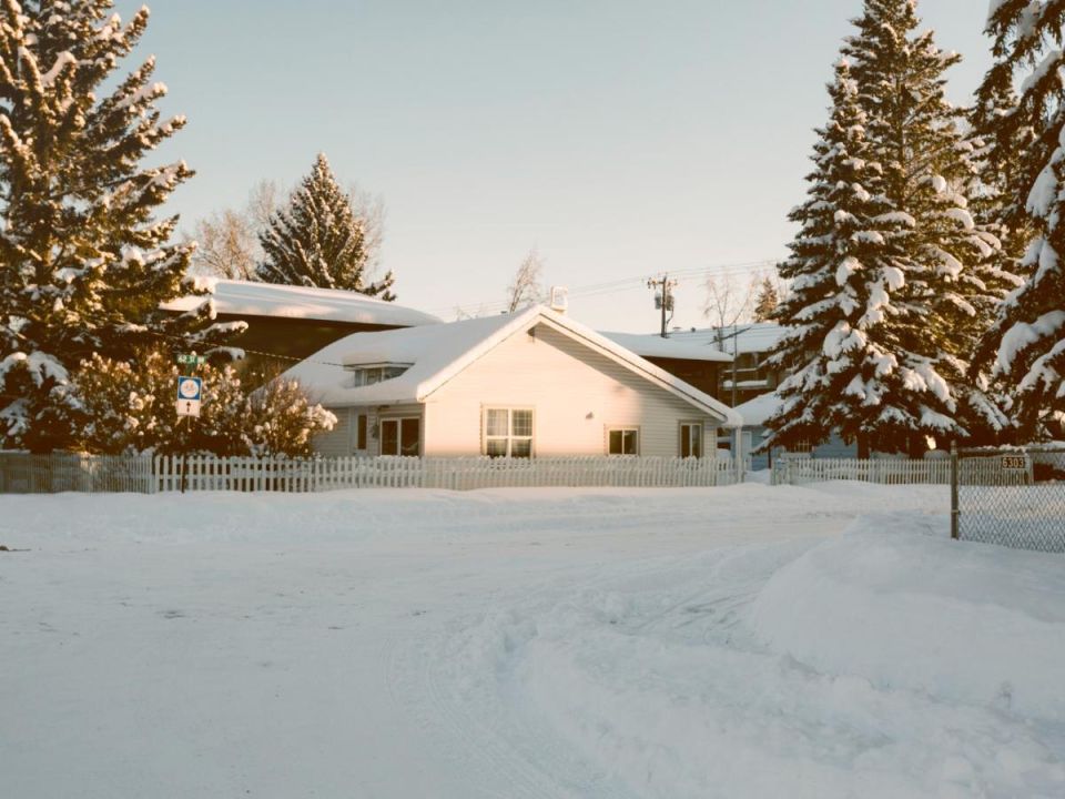 Февральские заботы: как подготовить сад и огород к весне