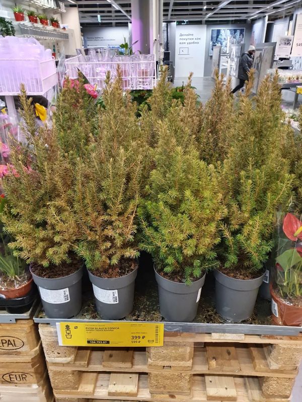 ������ � ���� ����� ��������� ���������� ��������: ������ ���������������� �����������