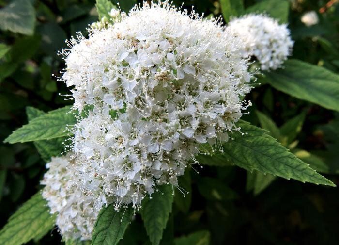 ������������� ���������� ��� ������ ����