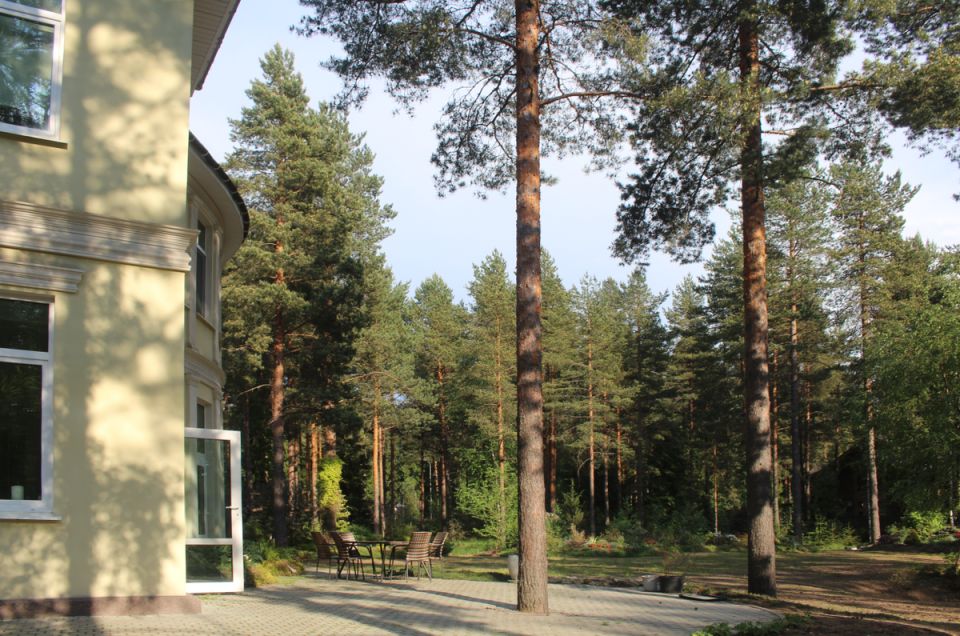 ����� � ����: ��� ������ �������� ������ �����������