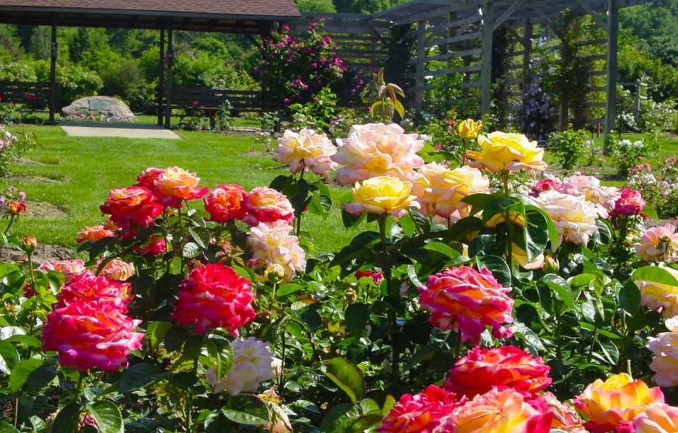 ����������� ����: 7 ������, ������� ������� ��� ��� �� ����� ���������