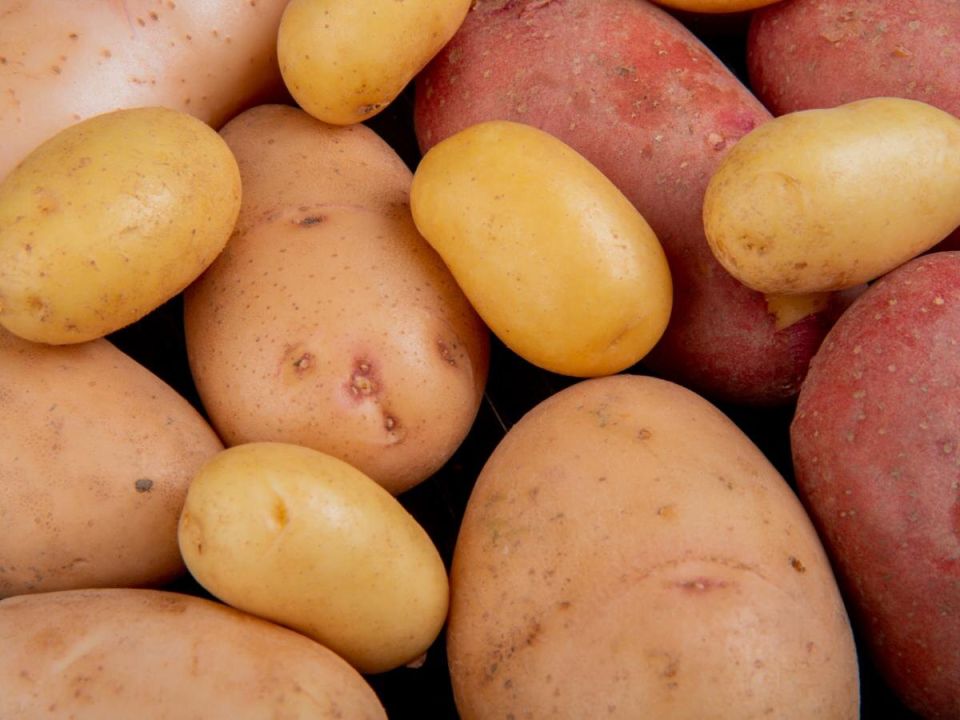 ��������� ������ ��������: ��� ������� ��������� �������� ��� ��������� ������