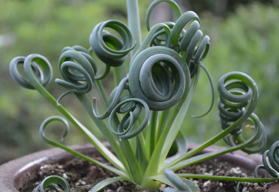 ������� ����������: ��� ��������� ������� ��� �� ����� �����������