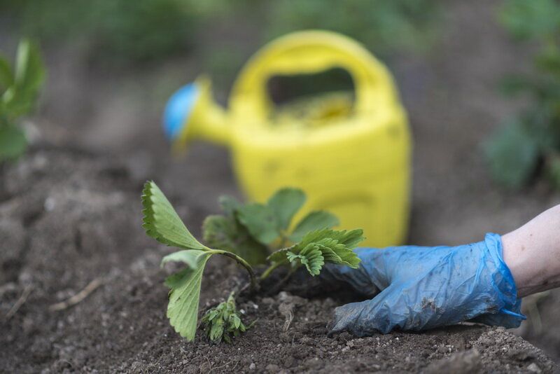 ��� ���������� �������� ������� ������: ������ �� �������� ���������