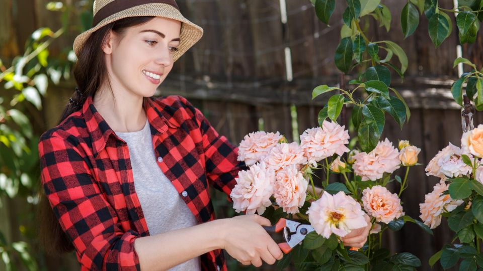 ������ ��������� ���� �� ���������: ���� �� ��������� ������ ��� ����� ����������