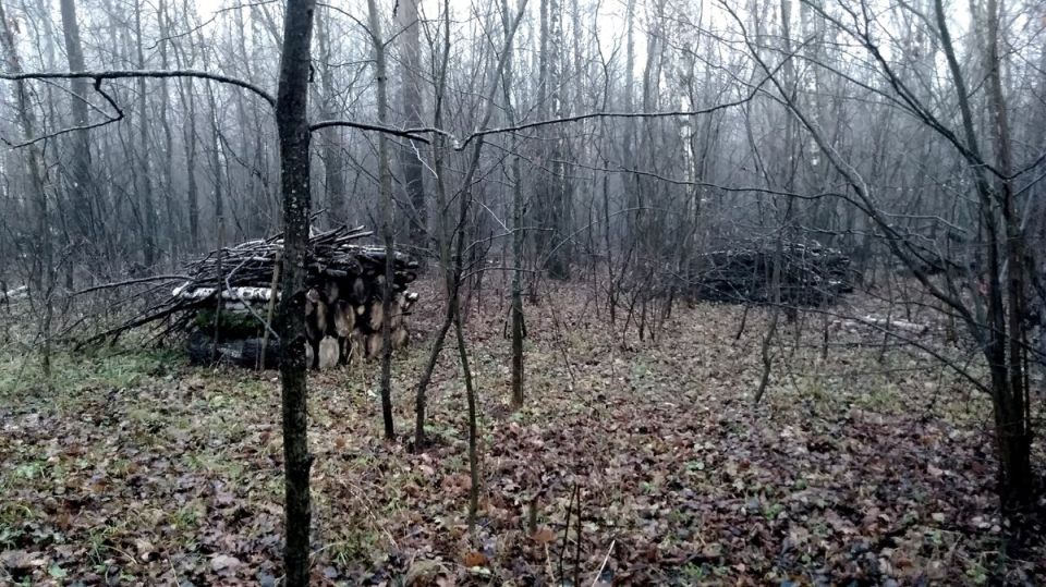 ���������� ������� ����: ��� ������� ��������� ������� �����?