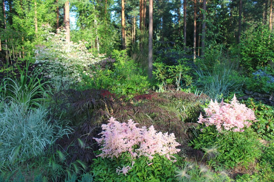 Как преобразить дачный цветник в дизайнерский шедевр