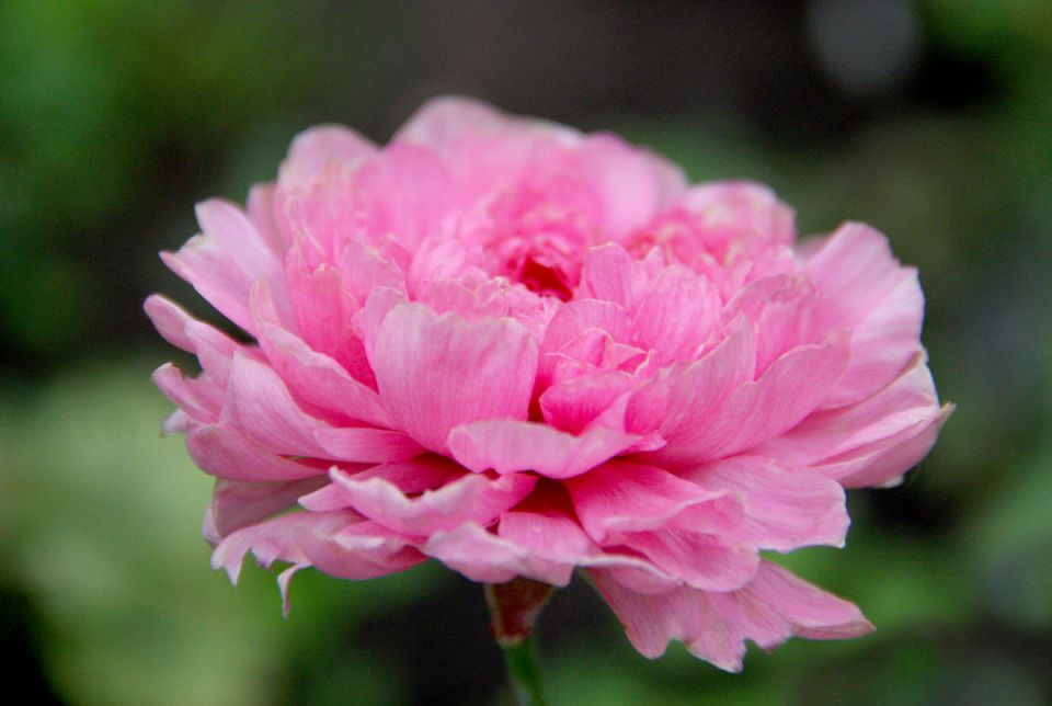 ������� �� ��������: ����� �������� ������� ����������� � ����� ������?