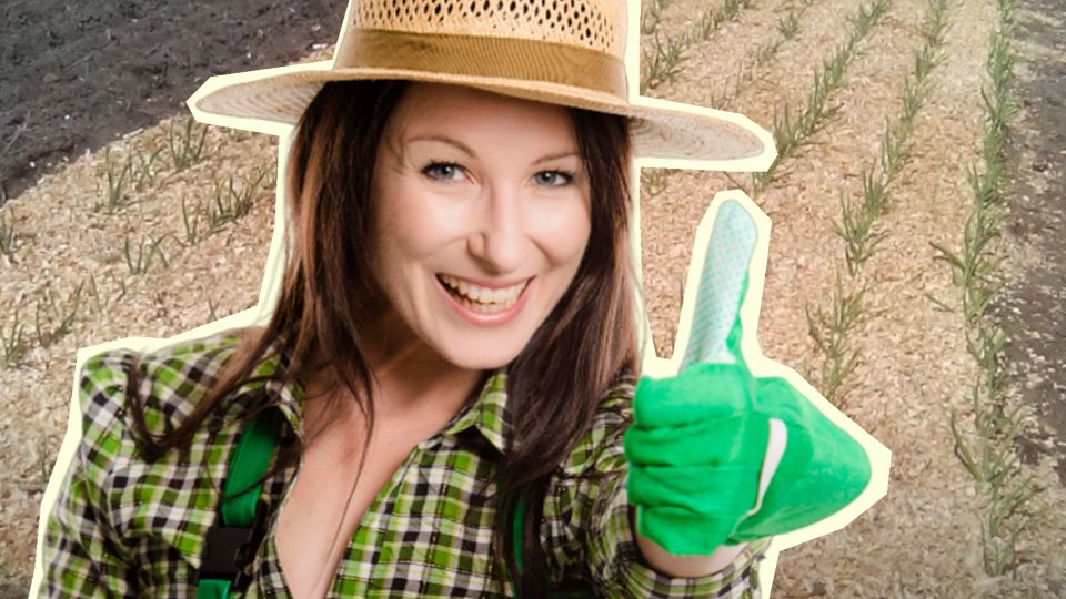 ������� ������� �� ��� ������ � ����� ������: ������ �� ����� ������ � ����������