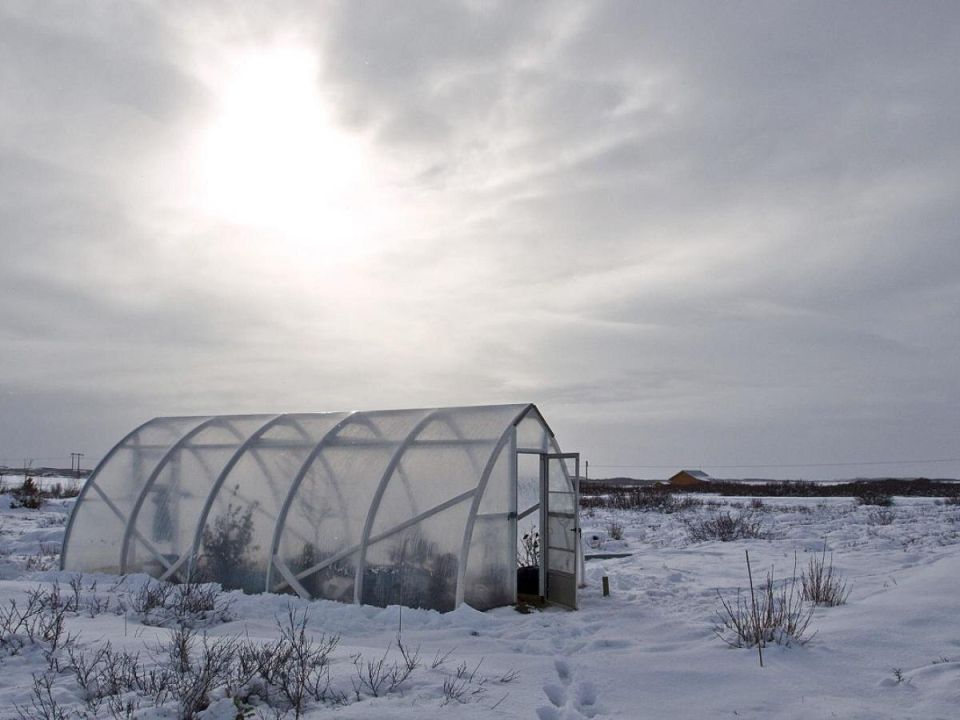 ������ �������: ��� ������������� ������� ������� �������� �� �������